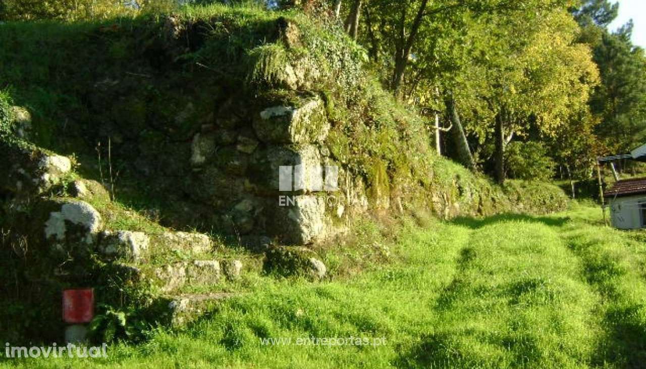 Venda Quintinha com Moradia para reconstruir, Folhada, Marco de Canave - Grande imagem: 5/17