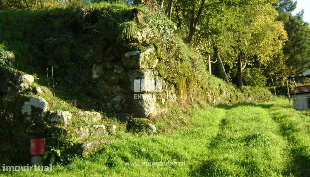 Venda Quintinha com Moradia para reconstruir, Folhada, Marco de Canave - Grande imagem: 5/17