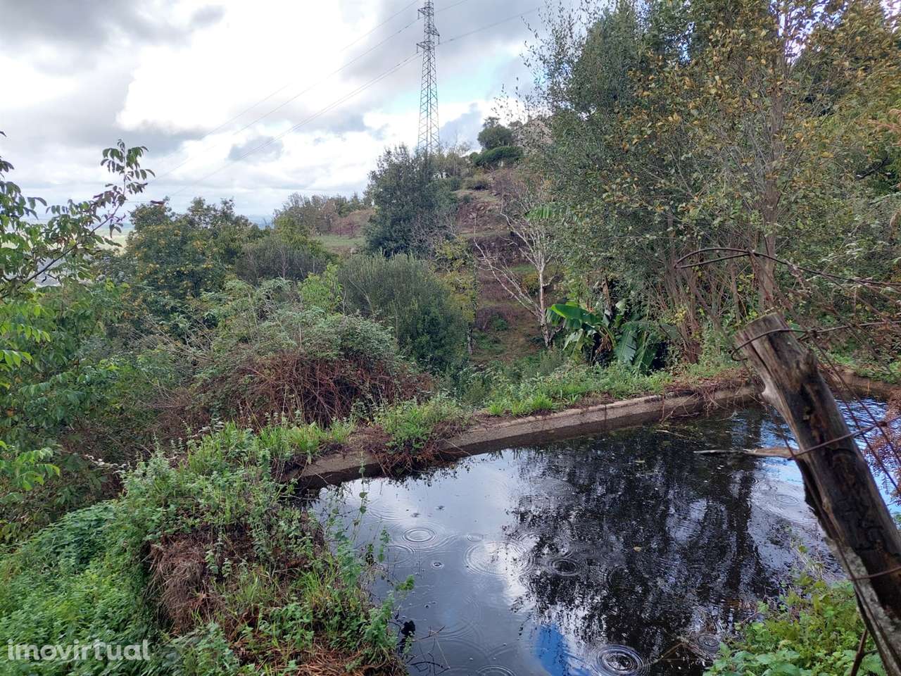 Quintinha com casa habitação - Grande imagem: 2/19
