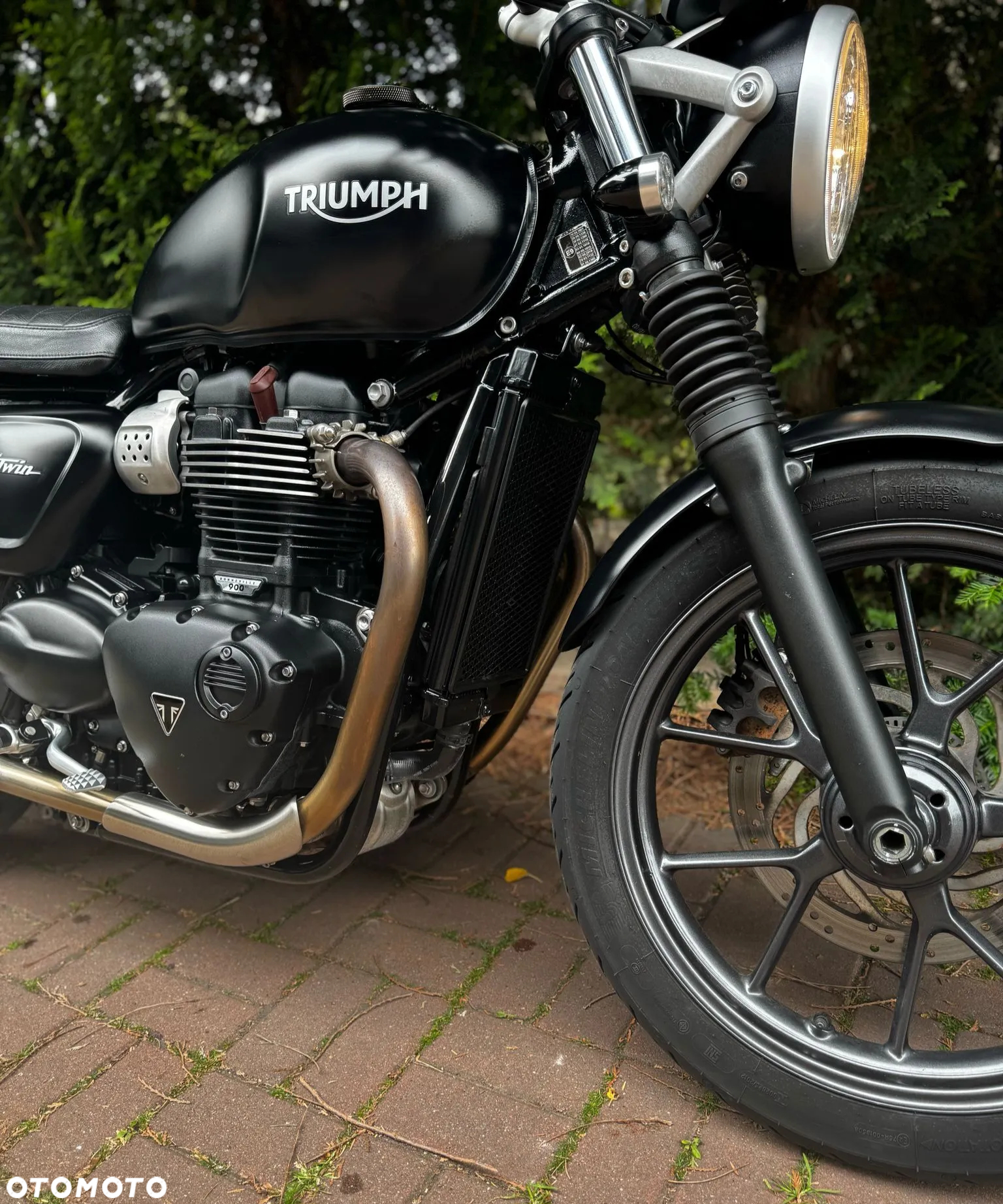 Triumph Speed Twin - 3