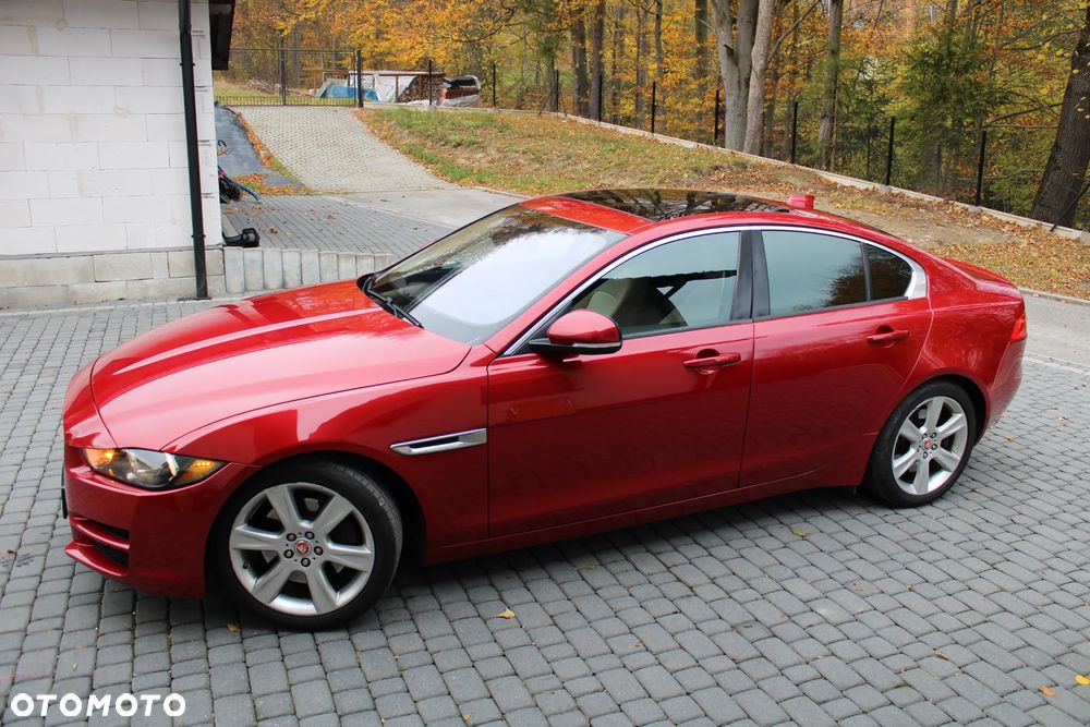 Jaguar Xe 2017 photo 5
