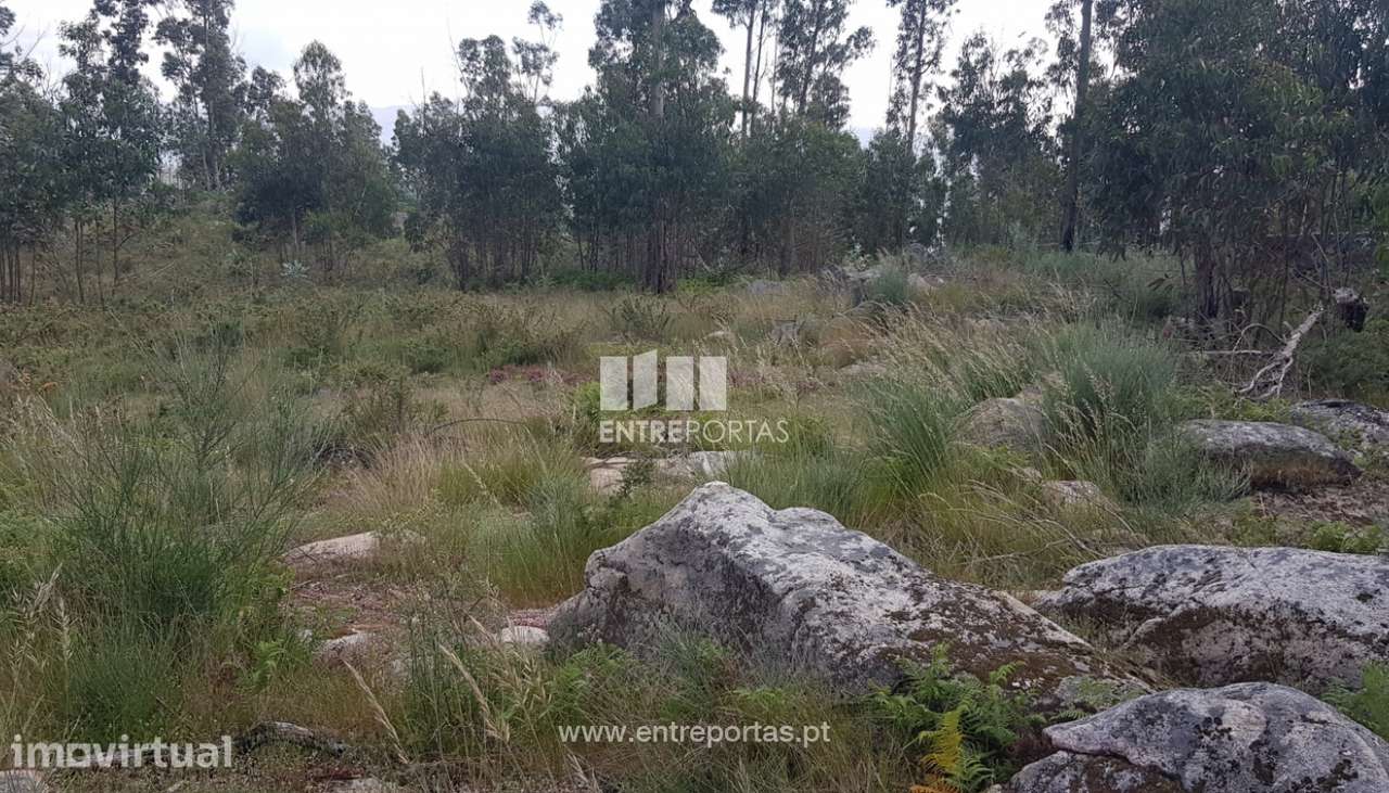 Venda Terreno, Sande, Marco de Canaveses - Grande imagem: 4/8