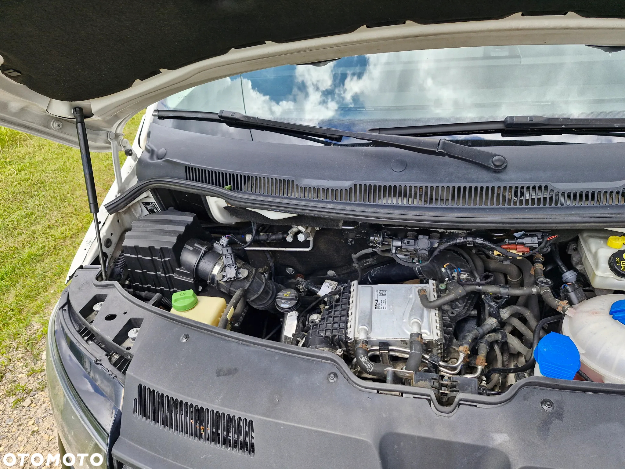 Volkswagen Transporter T6 TDI L2H1 - 21