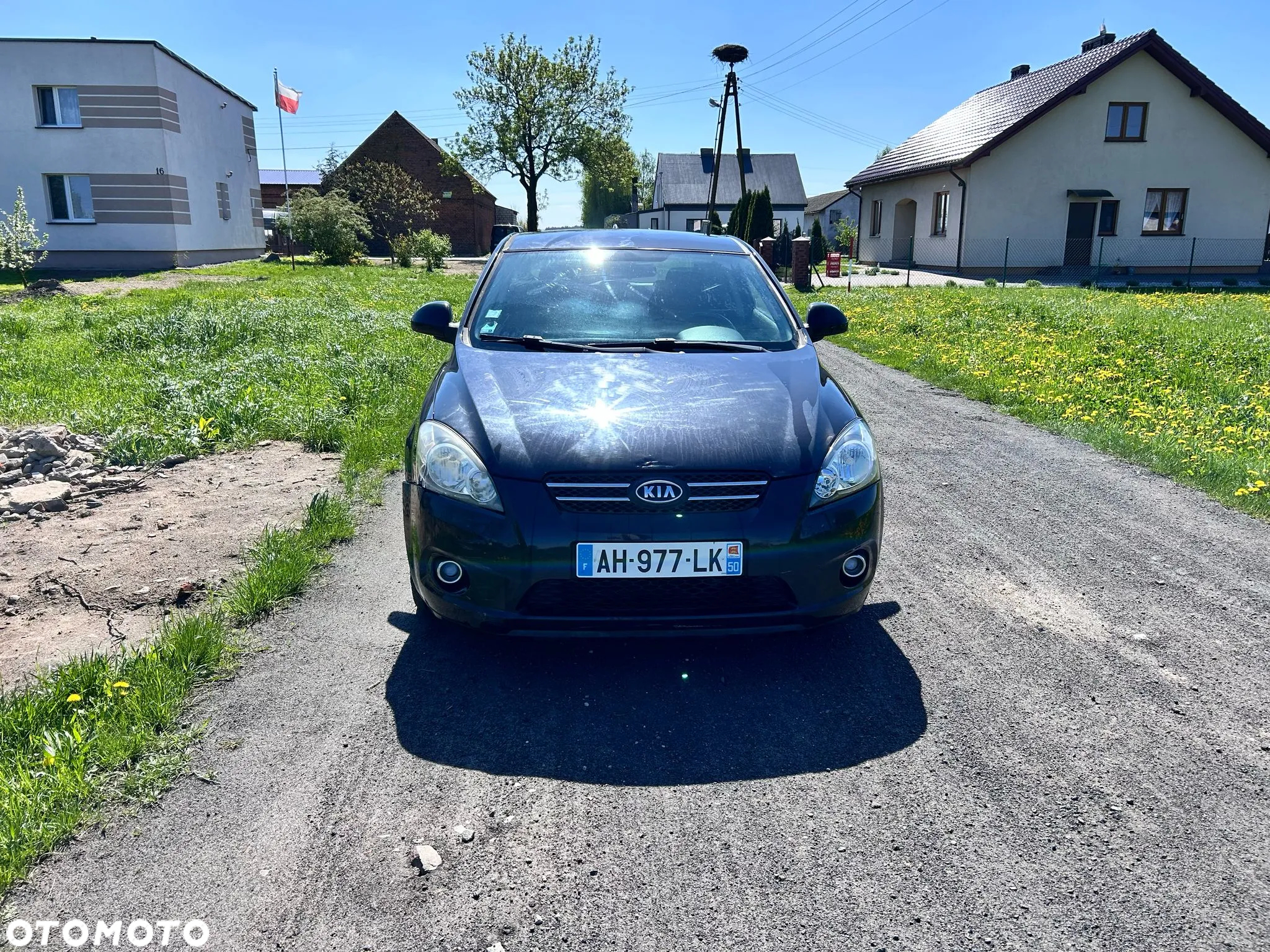 Kia ProCeed pro Ceed 1.6 CRDi Dream-Team Edition - 3
