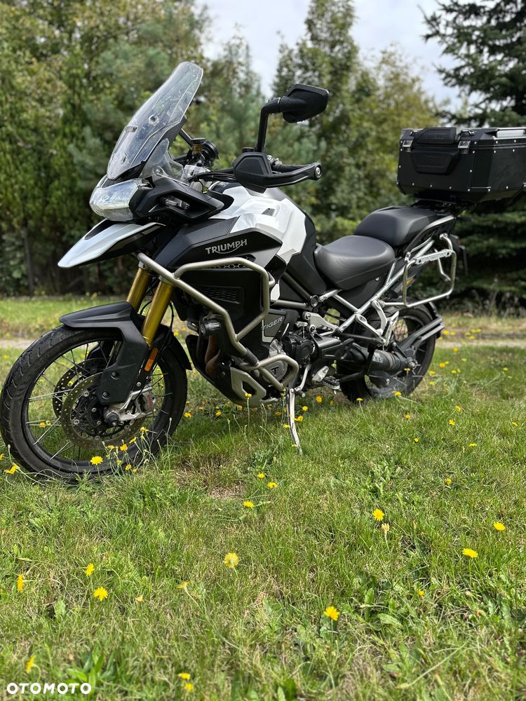 Triumph Tiger - 1