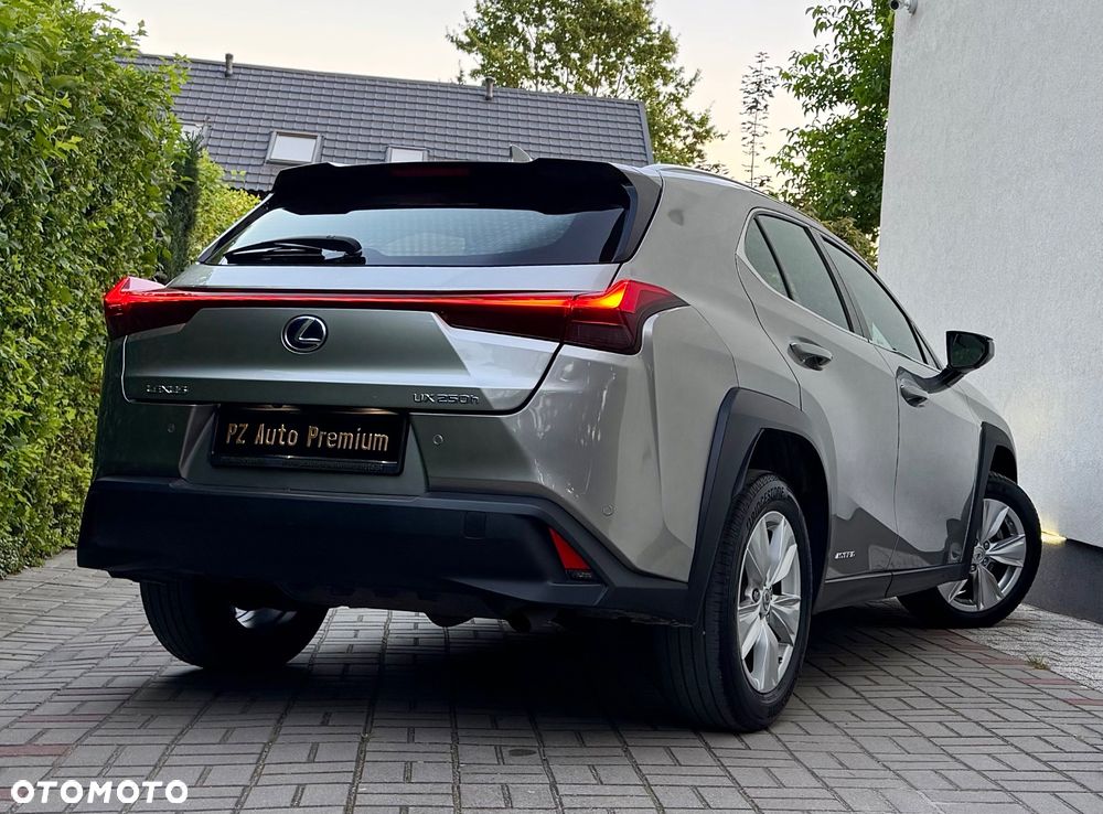 Lexus UX 250h Business Edition - 8