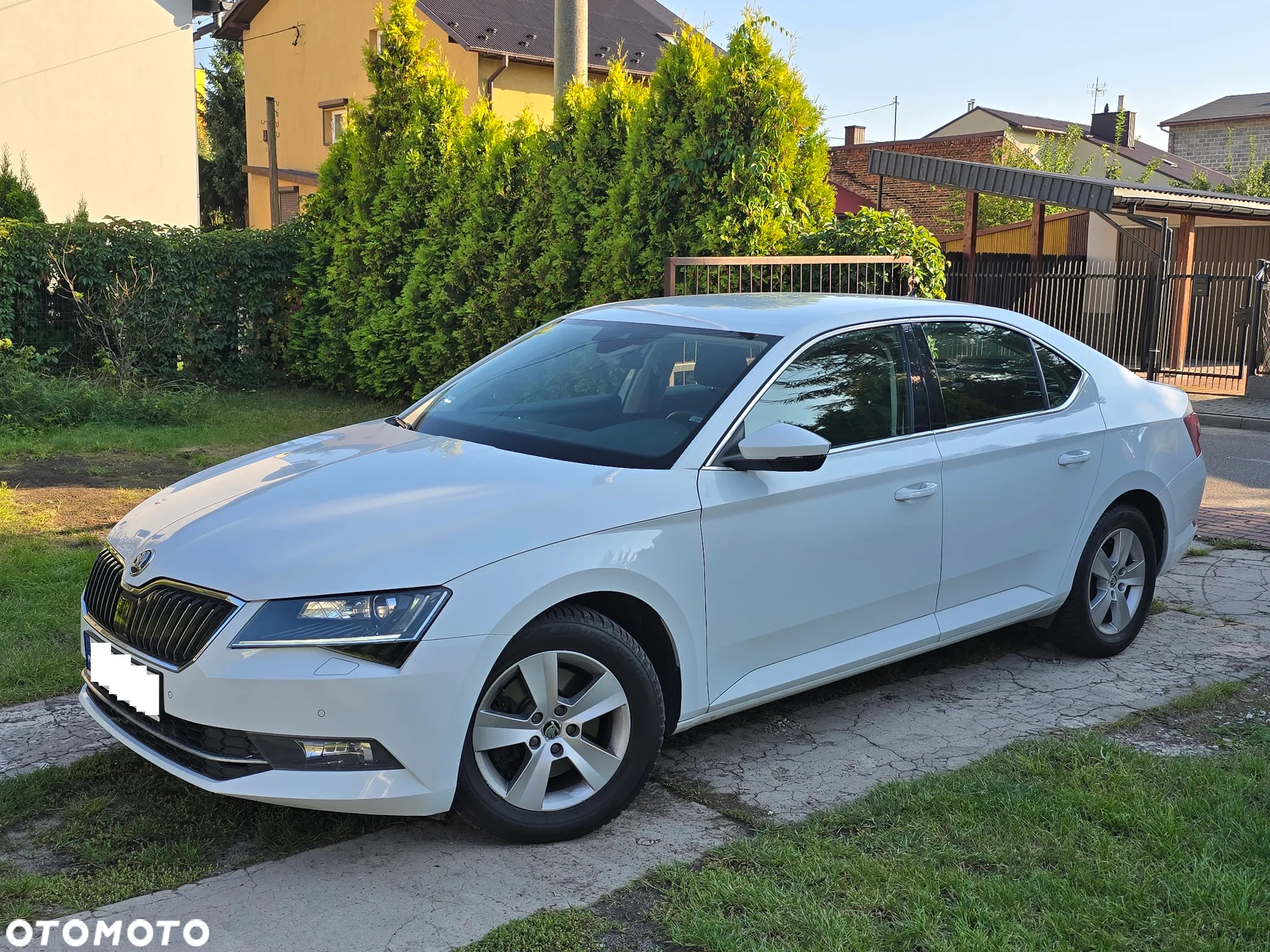 Skoda Superb 2.0 TDI Sportline DSG - 12
