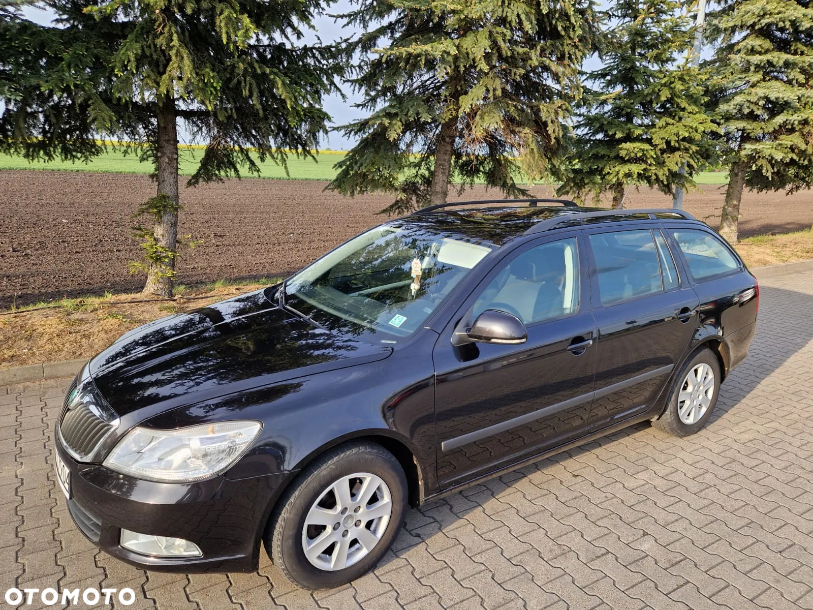 Skoda Octavia - 3