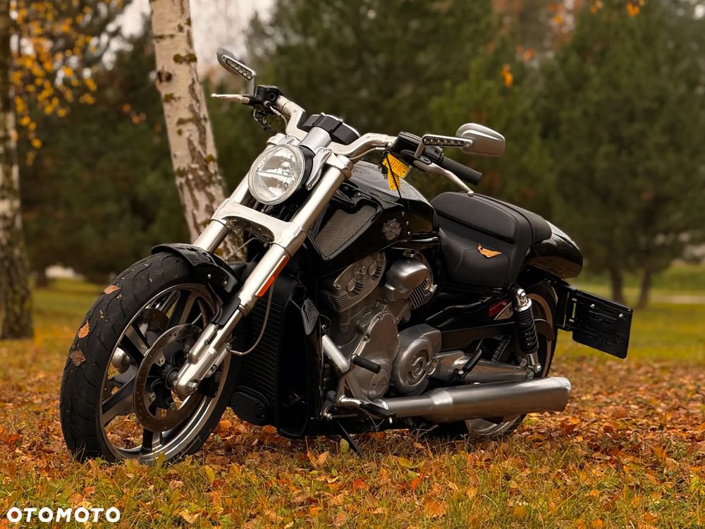 Harley-Davidson V-Rod Muscle - 3