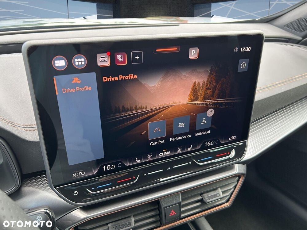 Cupra Formentor 2.0 TSI 4Drive DSG - 22