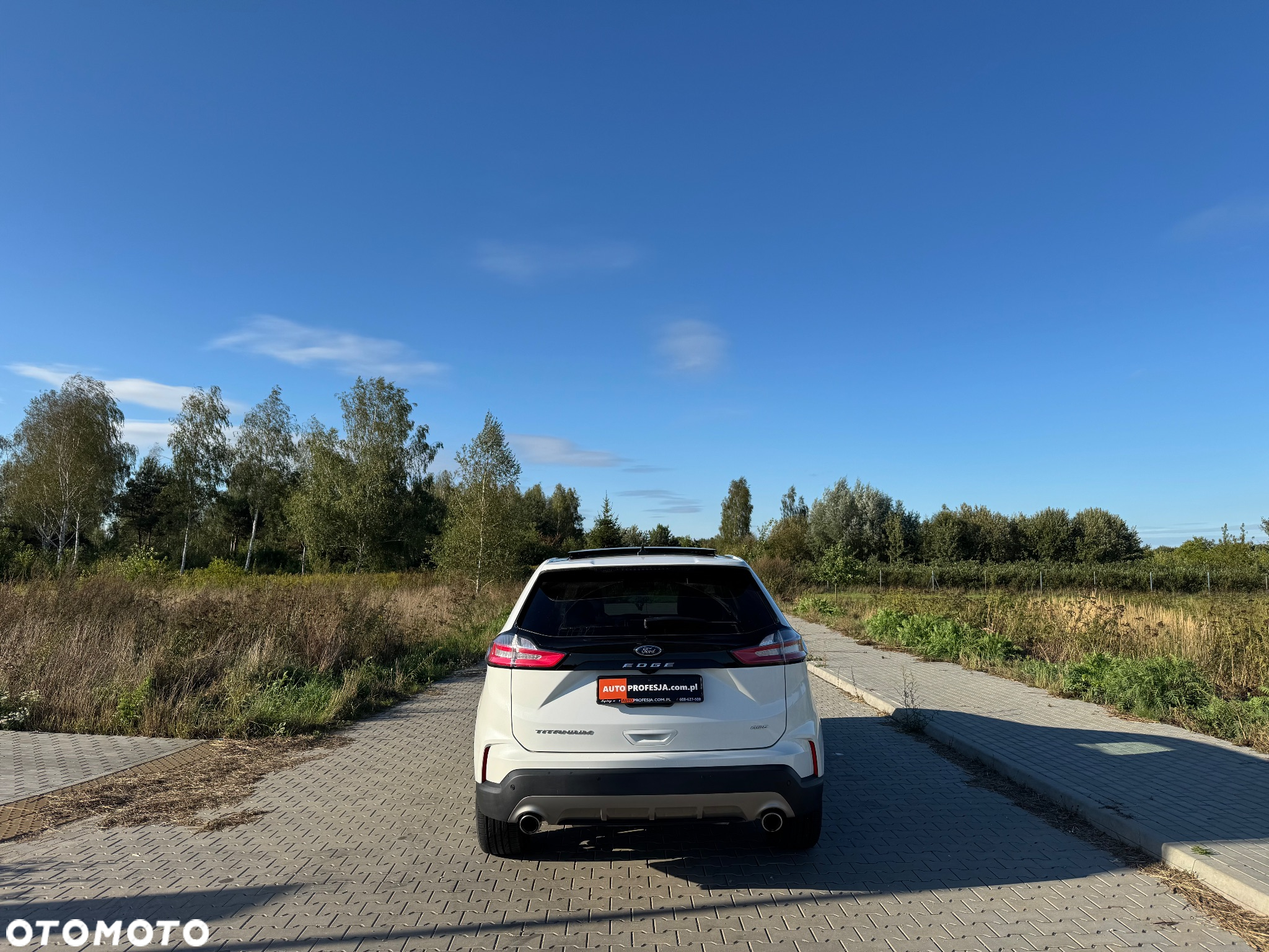 Ford Edge - 11