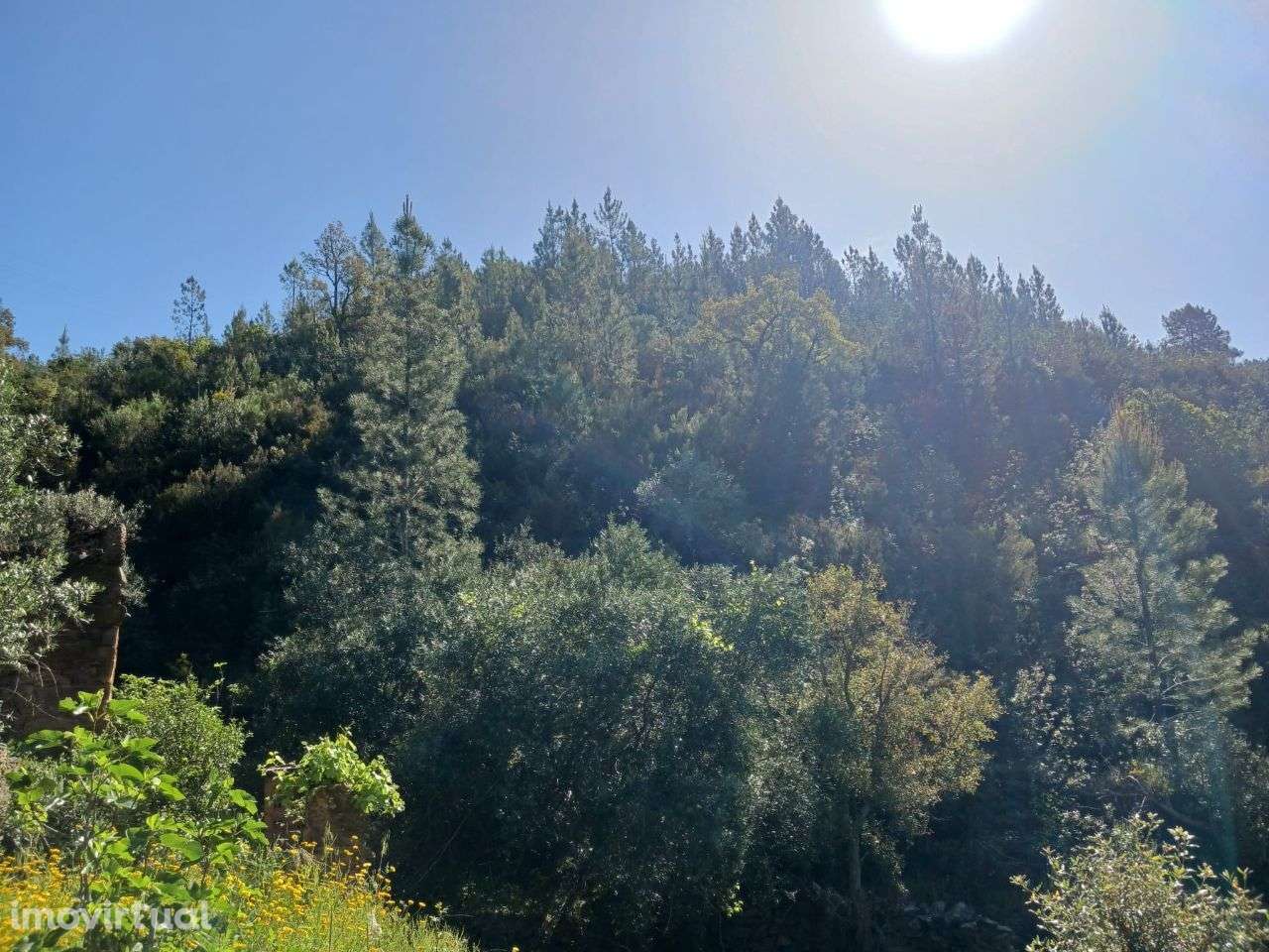 Terreno - Grande imagem: 2/9