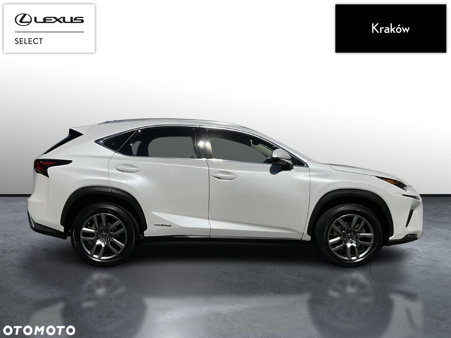 Lexus NX 300h Business Edition AWD - 6