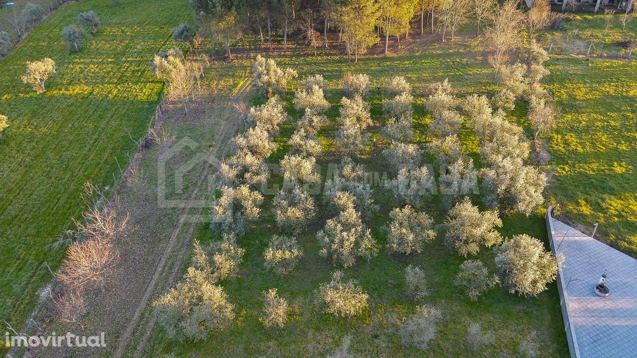 Terreno para construção em Cepões - Grande imagem: 4/9