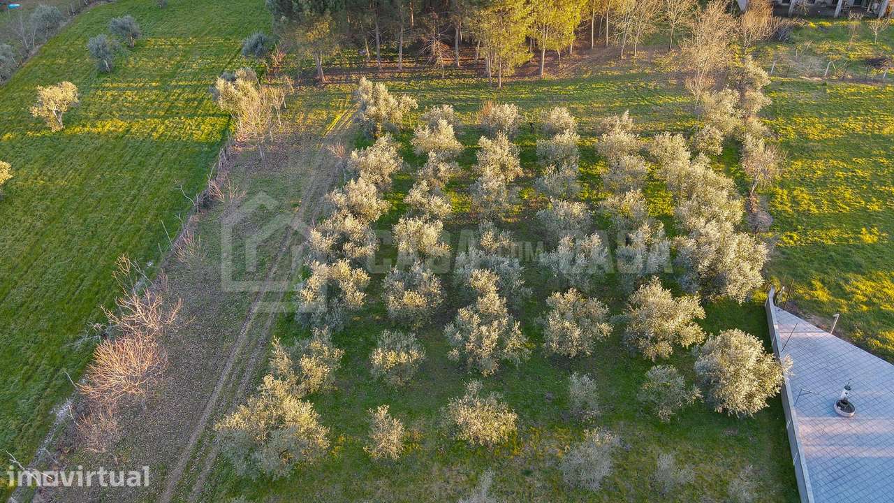 Terreno para construção em Cepões - Grande imagem: 4/9