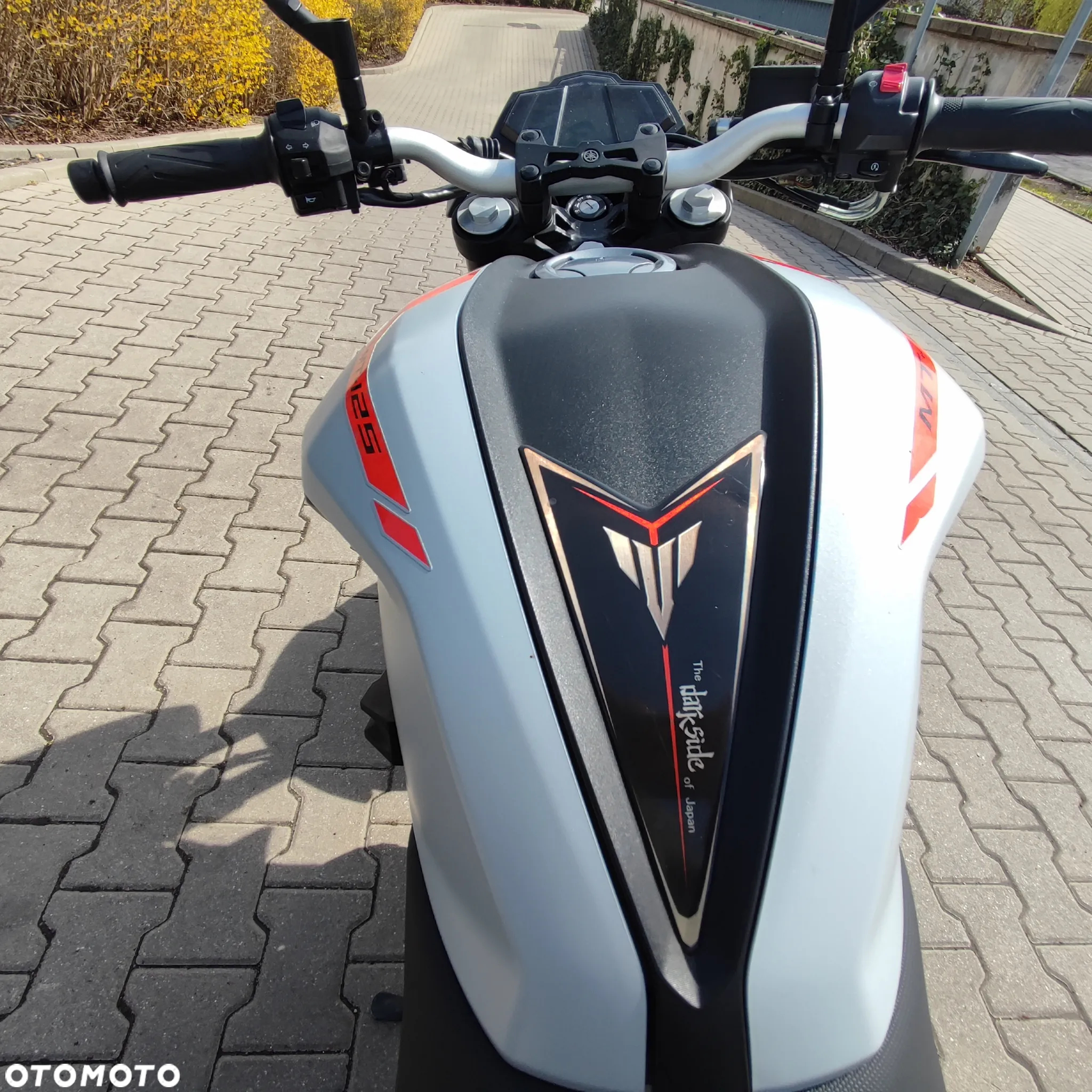 Yamaha MT - 13