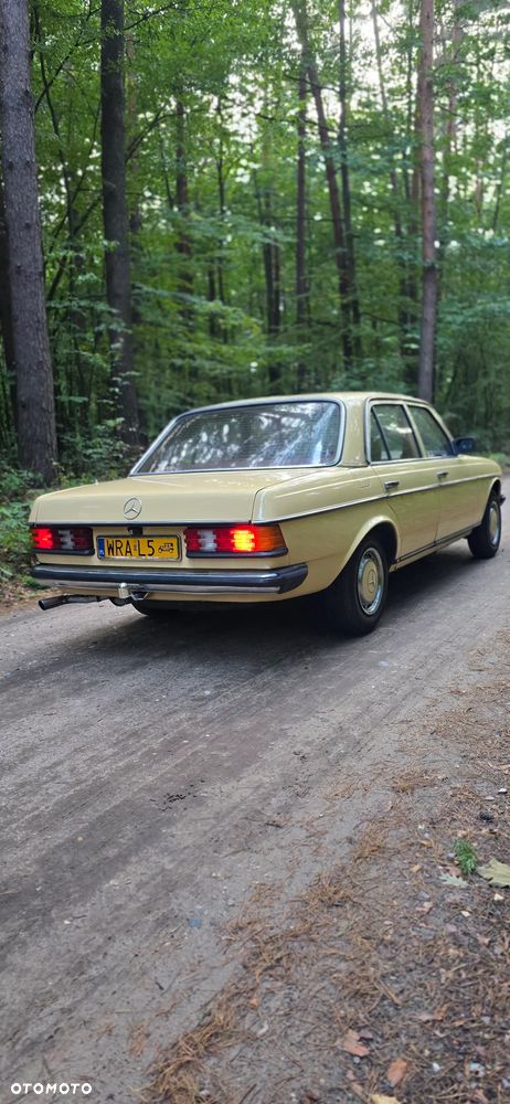 Mercedes-Benz W123 - 4