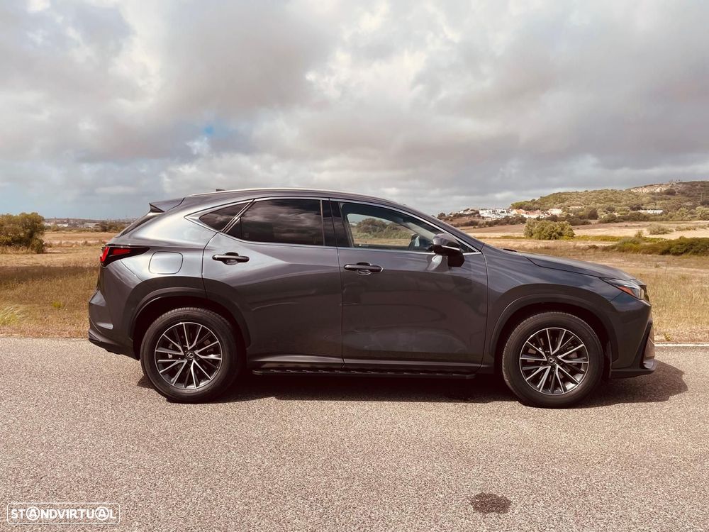 Lexus NX 450h+ Executive - 5
