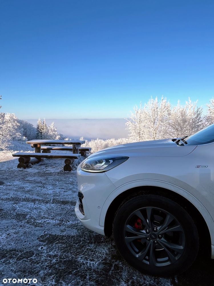 Ford Kuga 2.0 EcoBlue AWD ST-Line - 11