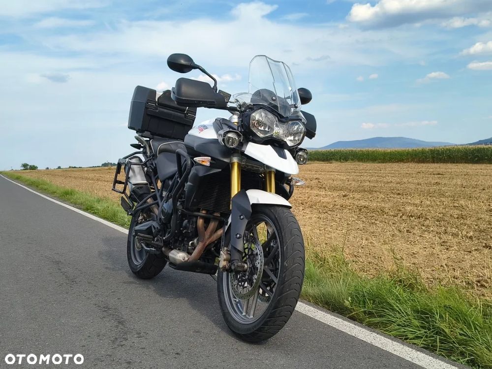 Triumph Tiger - 5