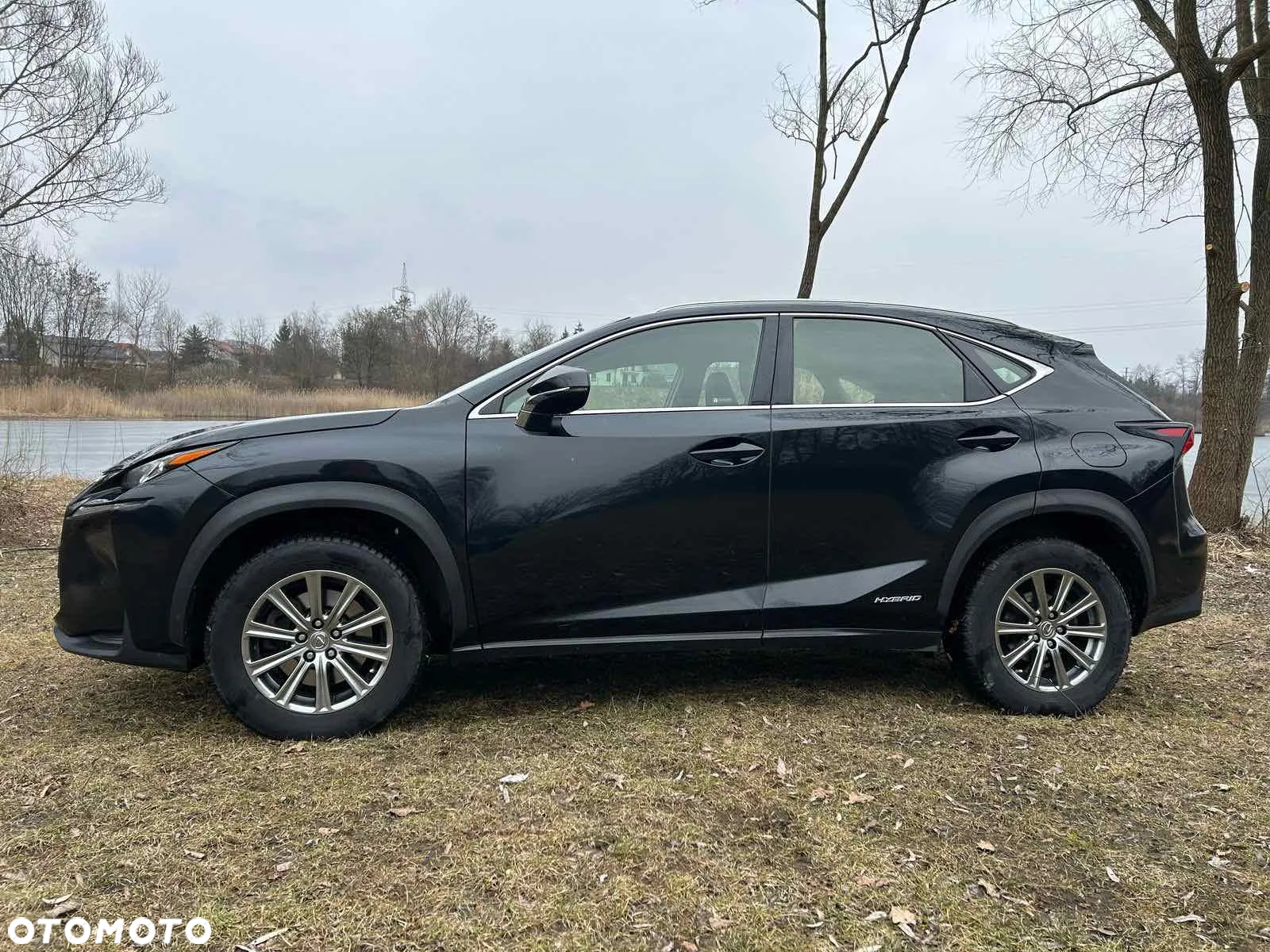 Lexus NX 300h Elegance AWD - 2