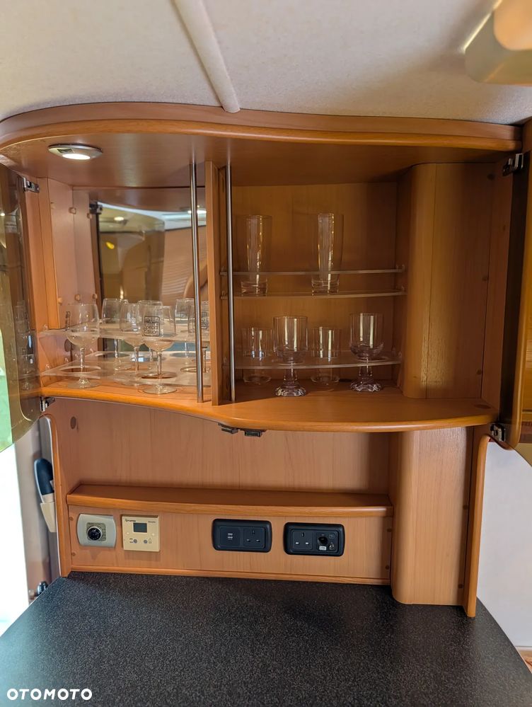 Avondale Golden Avocet - 25