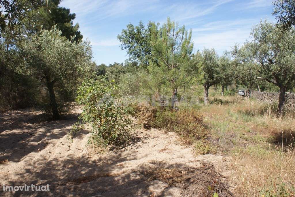 Terreno para venda - Grande imagem: 2/14