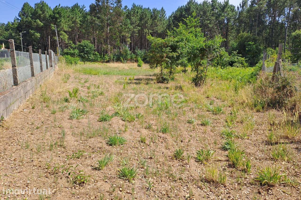 Terreno agrícola Areeiro 2978m², vedado, árvores pomar, Águeda, Ave... - Grande imagem: 4/35