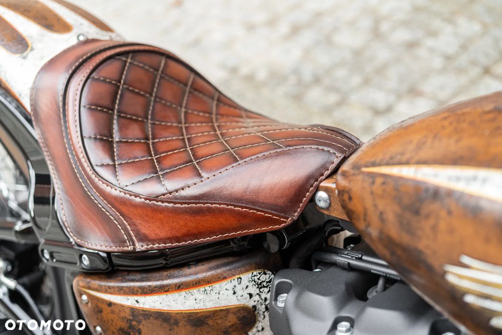 Harley-Davidson Softail - 18