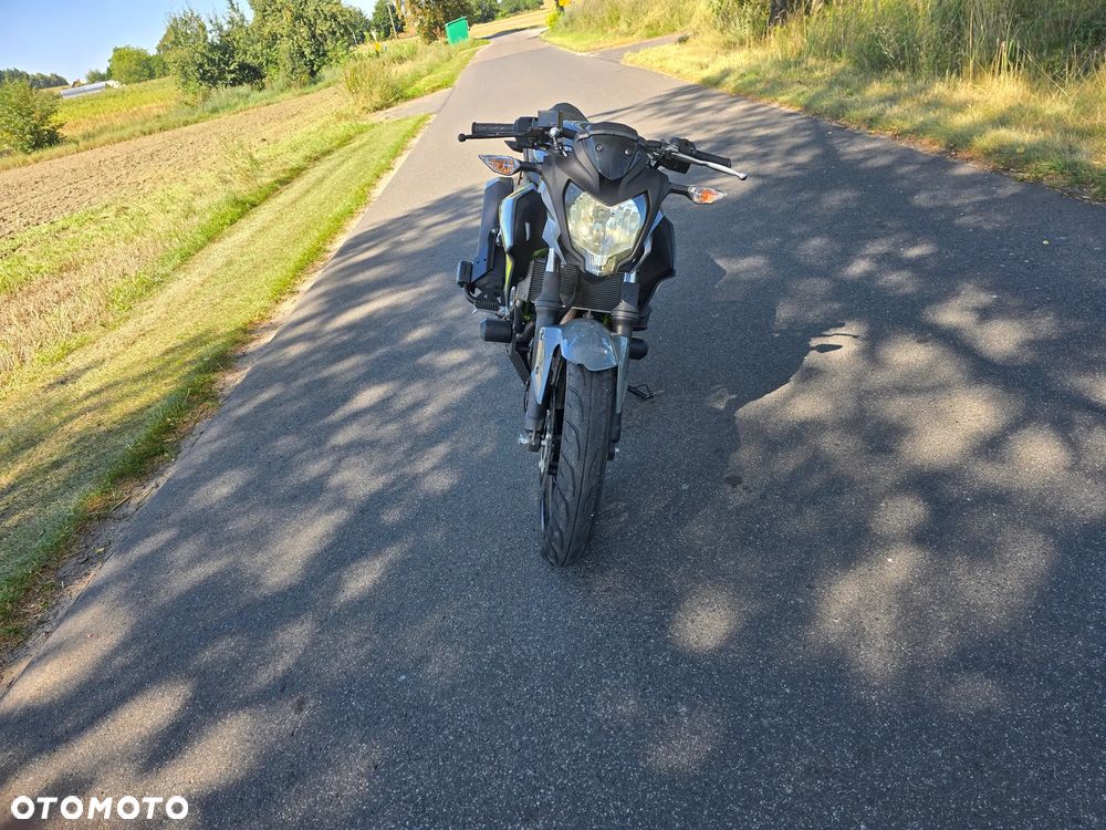 Kawasaki Z - 19
