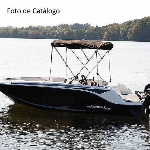 Bayliner Element M15 - 12