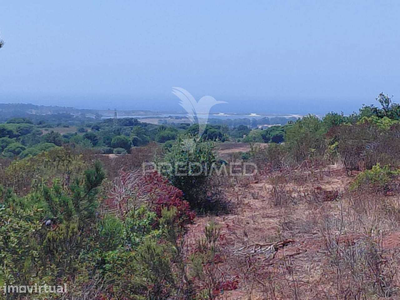 Herdade a 15 minutos da Lagoa de S.André. - Grande imagem: 3/7