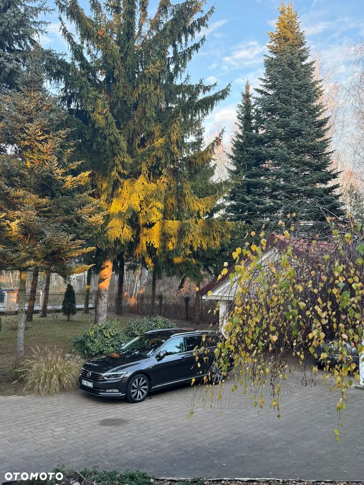 Volkswagen Passat - 19