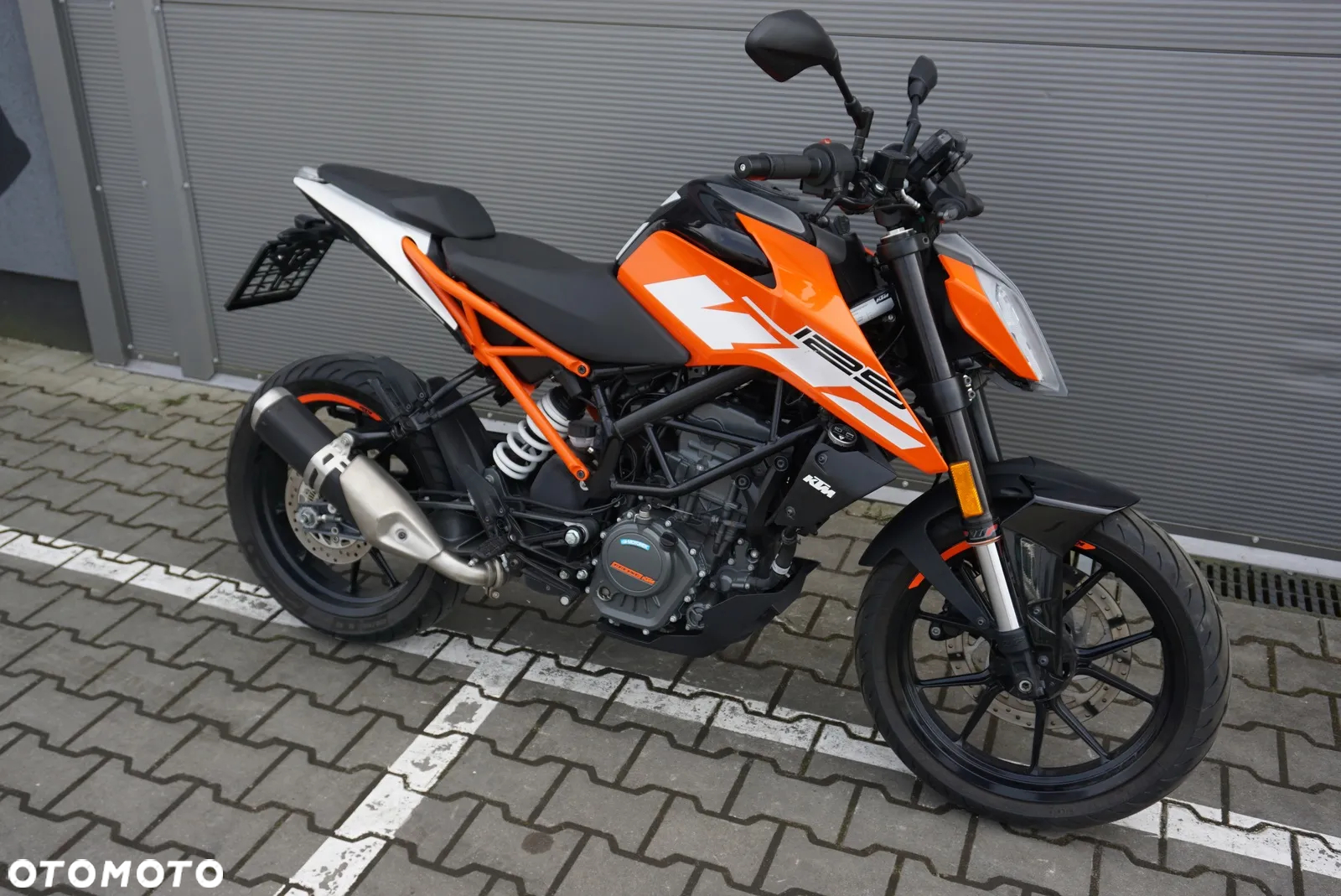 KTM Duke - 17