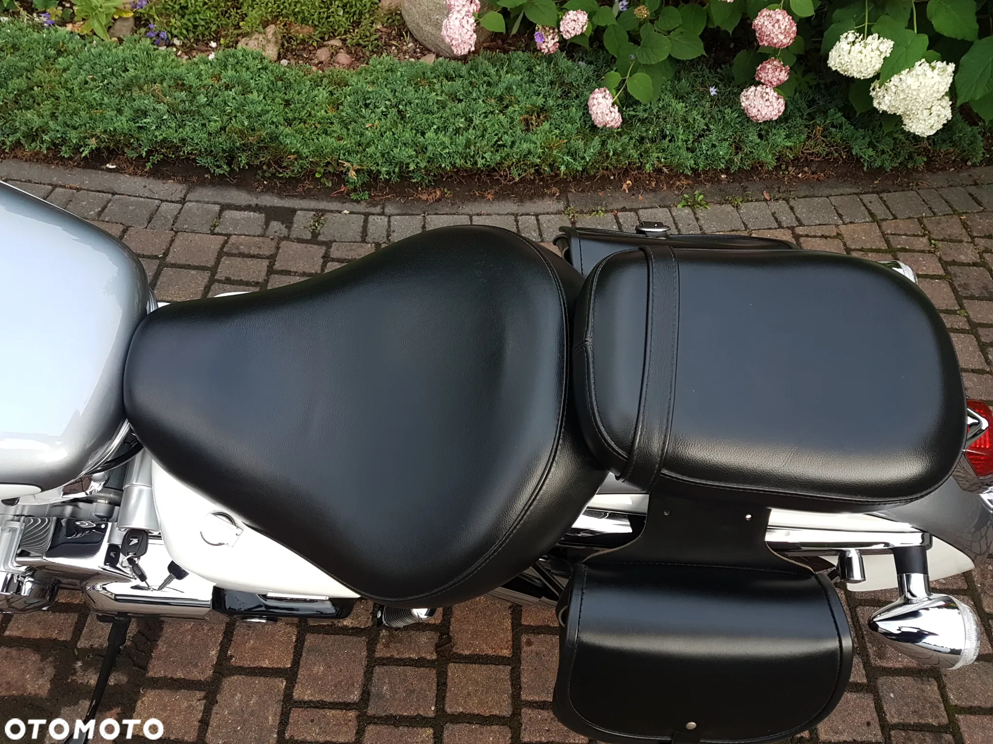 Honda Shadow - 19
