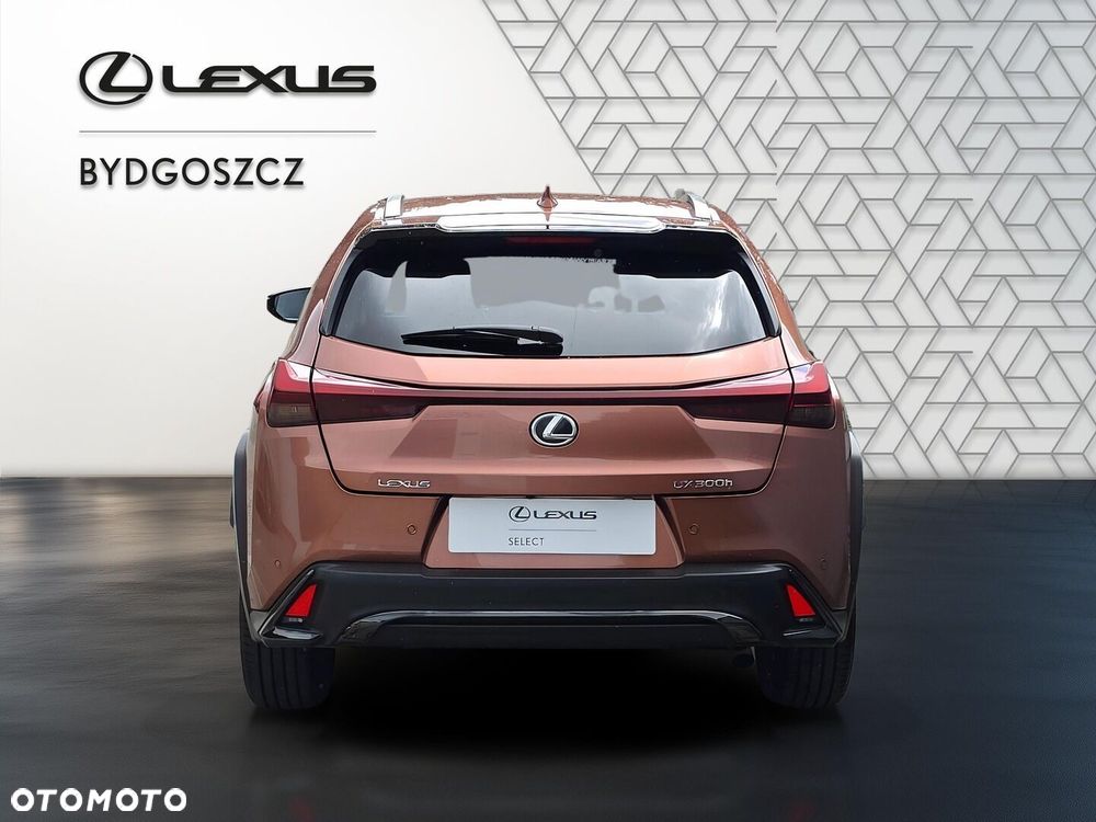 Lexus UX 300h F Sport Design - 5