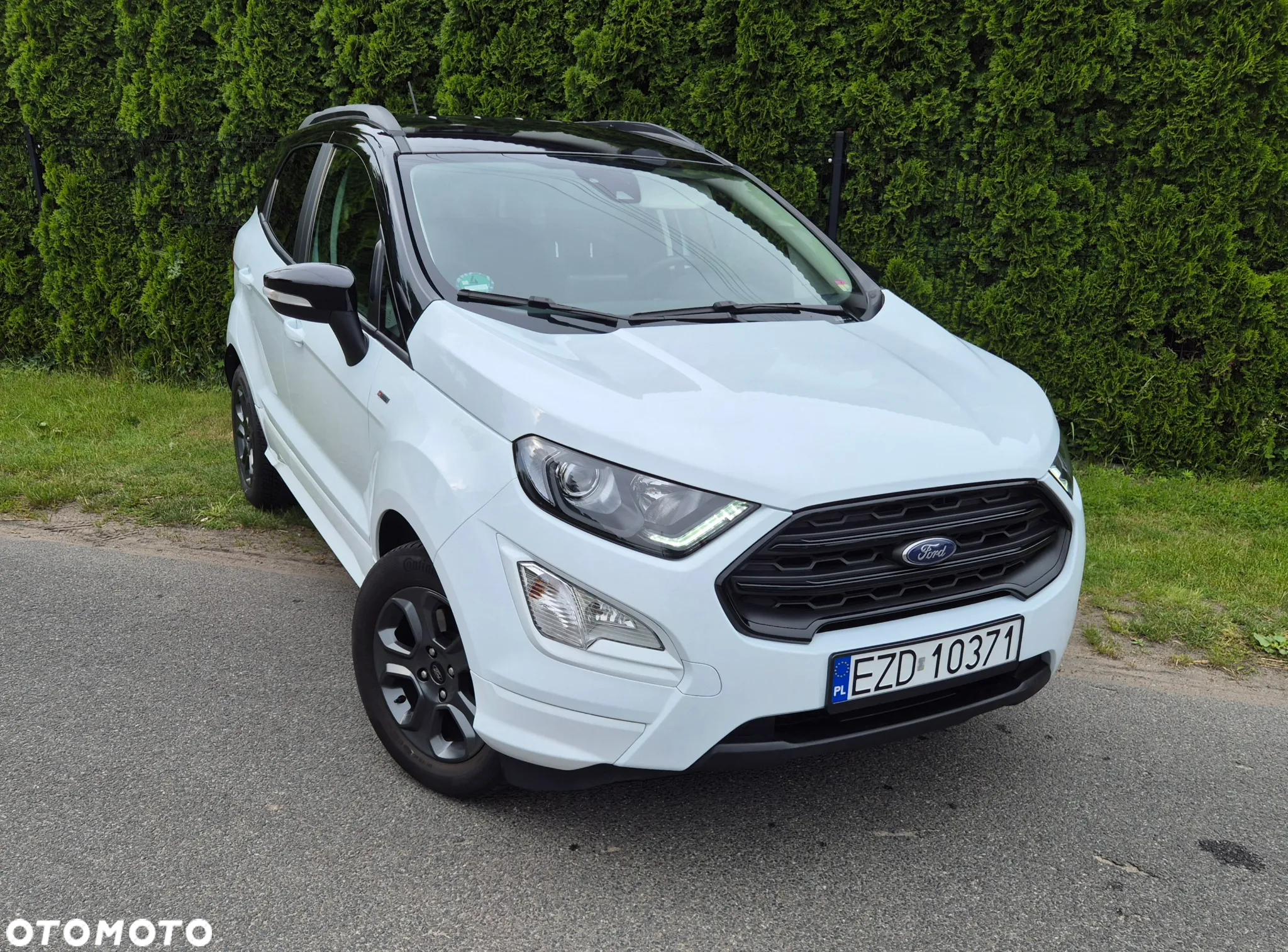Ford Fiesta - 14