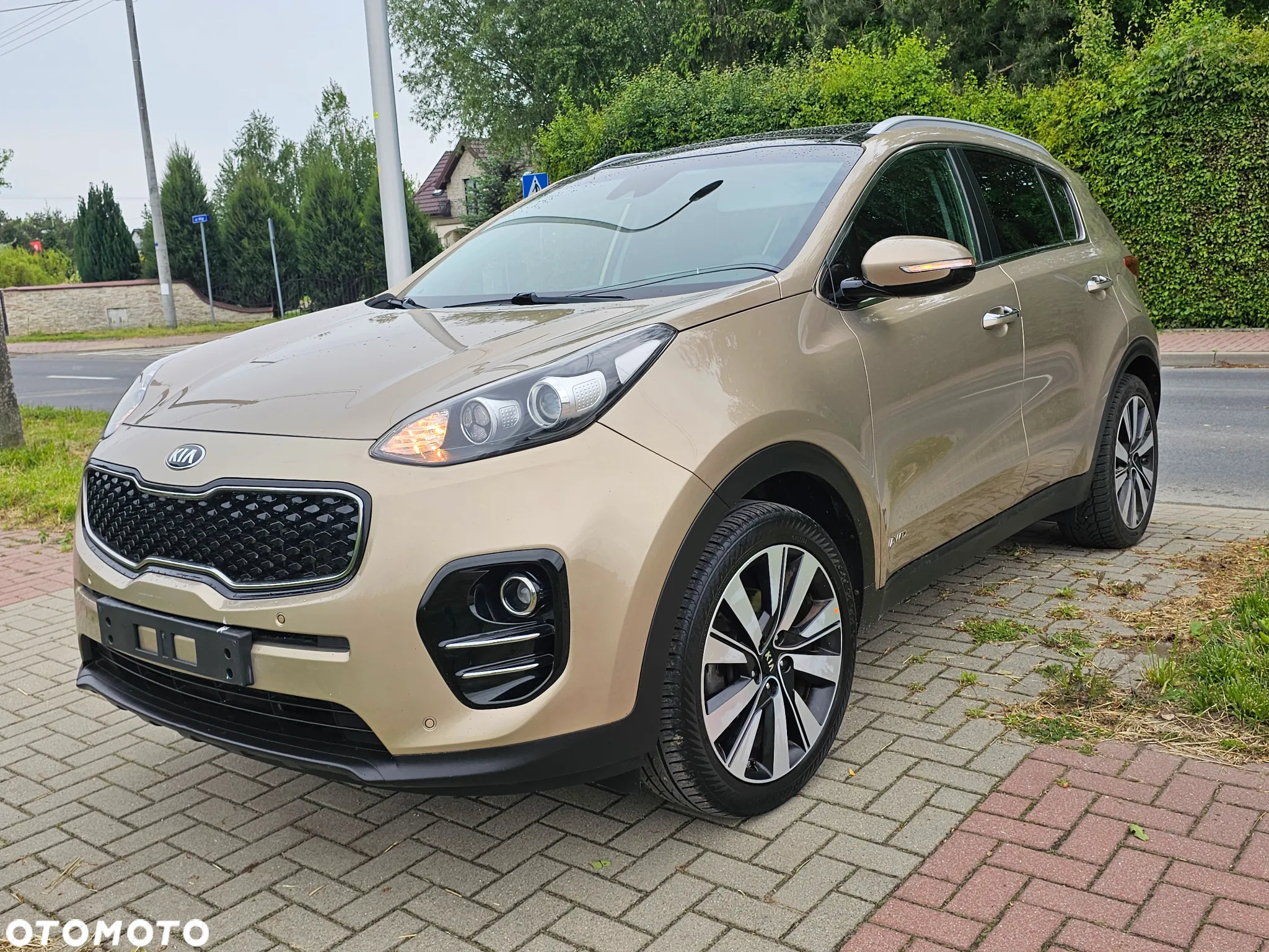 Kia Sportage 2.0 CRDI Business Line 4WD - 2