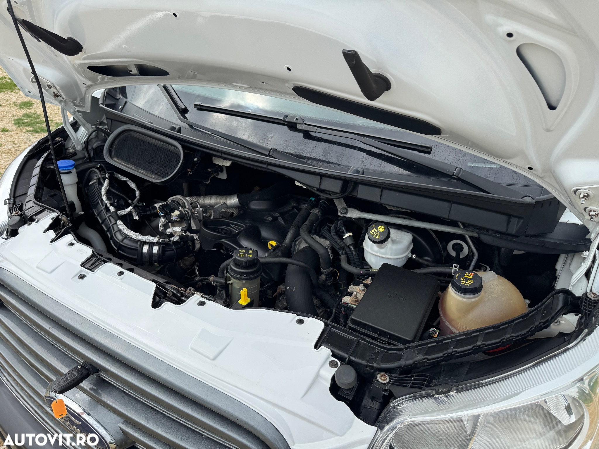 Ford Transit XXL 2018 stare foarte buna !!! - 20