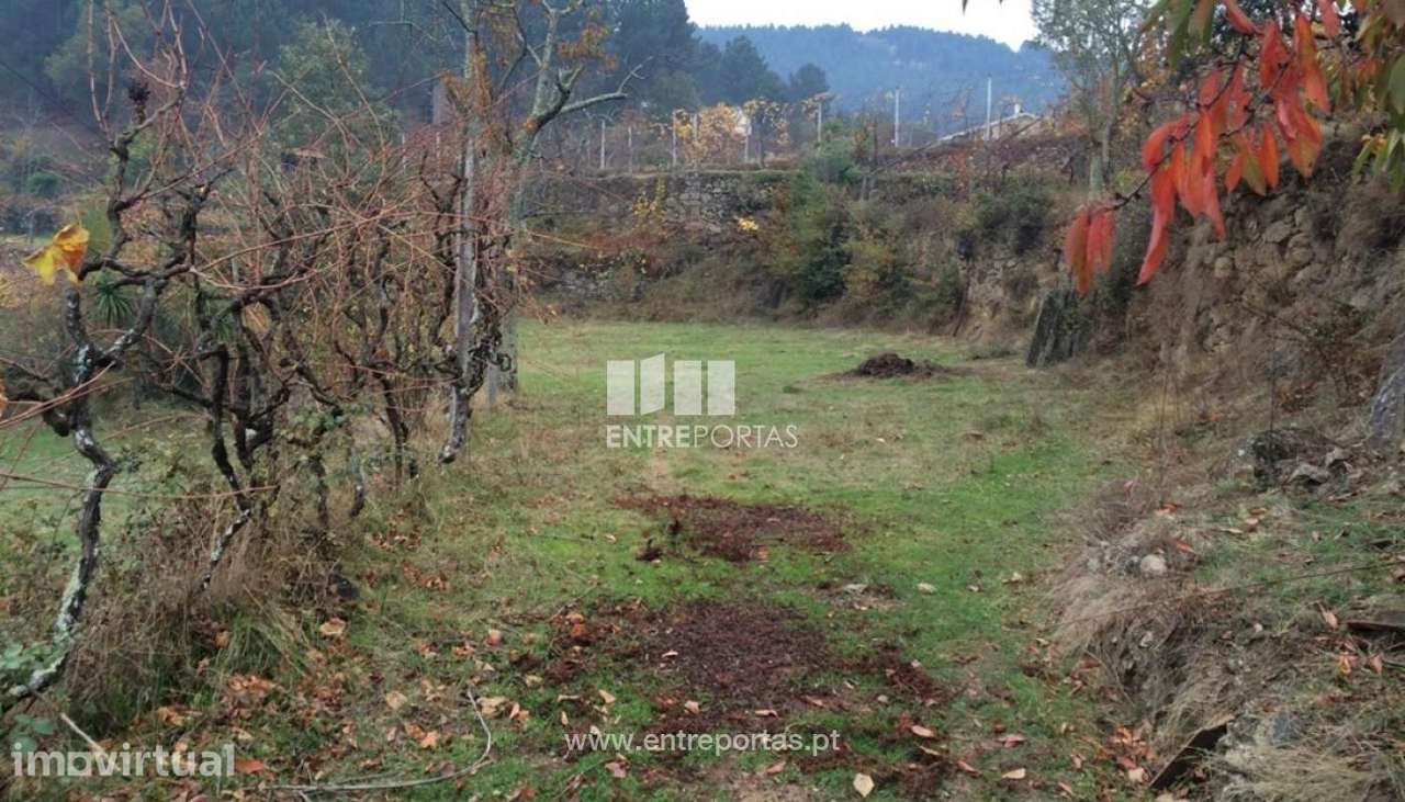 Venda Terreno, Cinfães - Grande imagem: 5/24