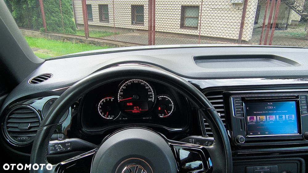 Volkswagen Beetle - 19