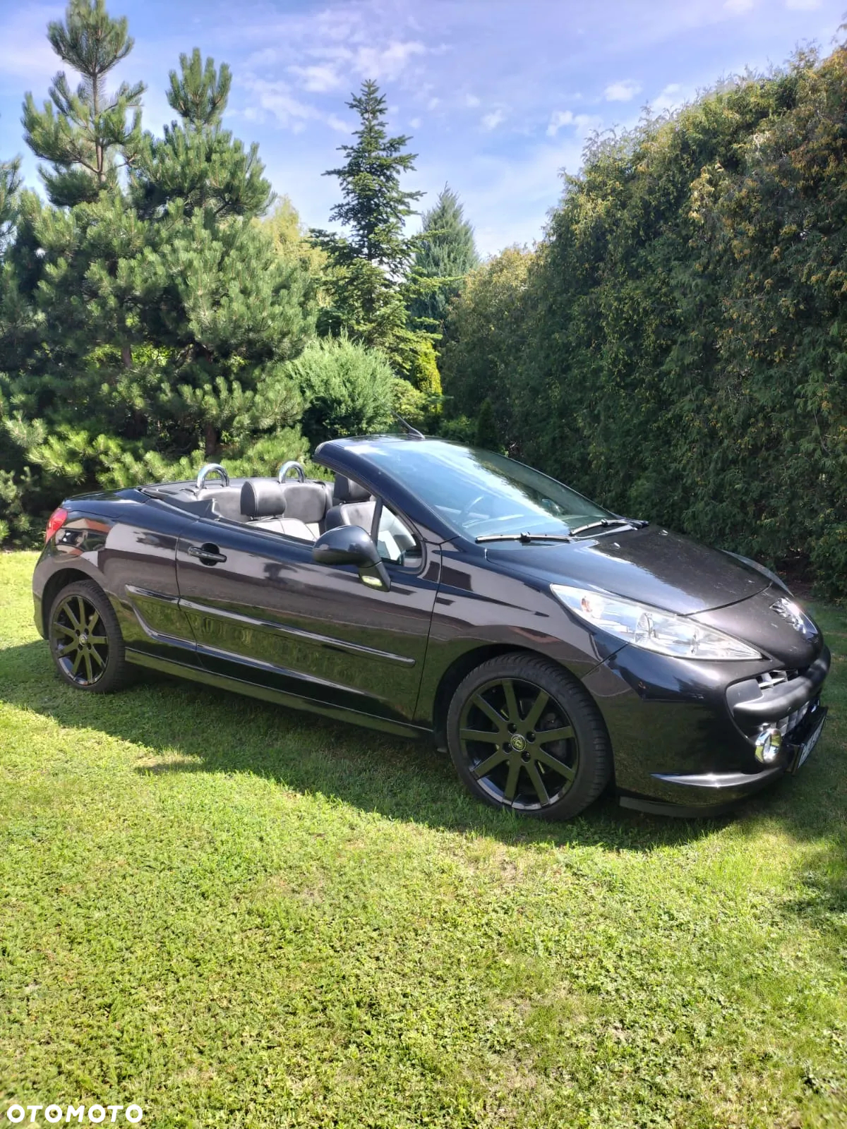Peugeot 207 CC FAP 110 (Blue Lion) Roland Garros - 6