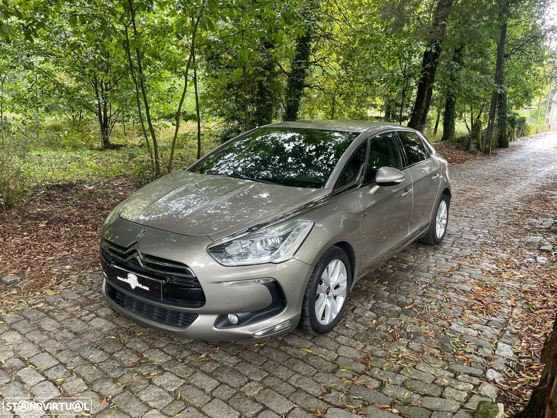 Citroën DS5 - 6