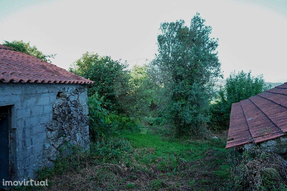 Duas Moradias para restauro em Ribeira do Neiva, Vila Verde! - Grande imagem: 5/15