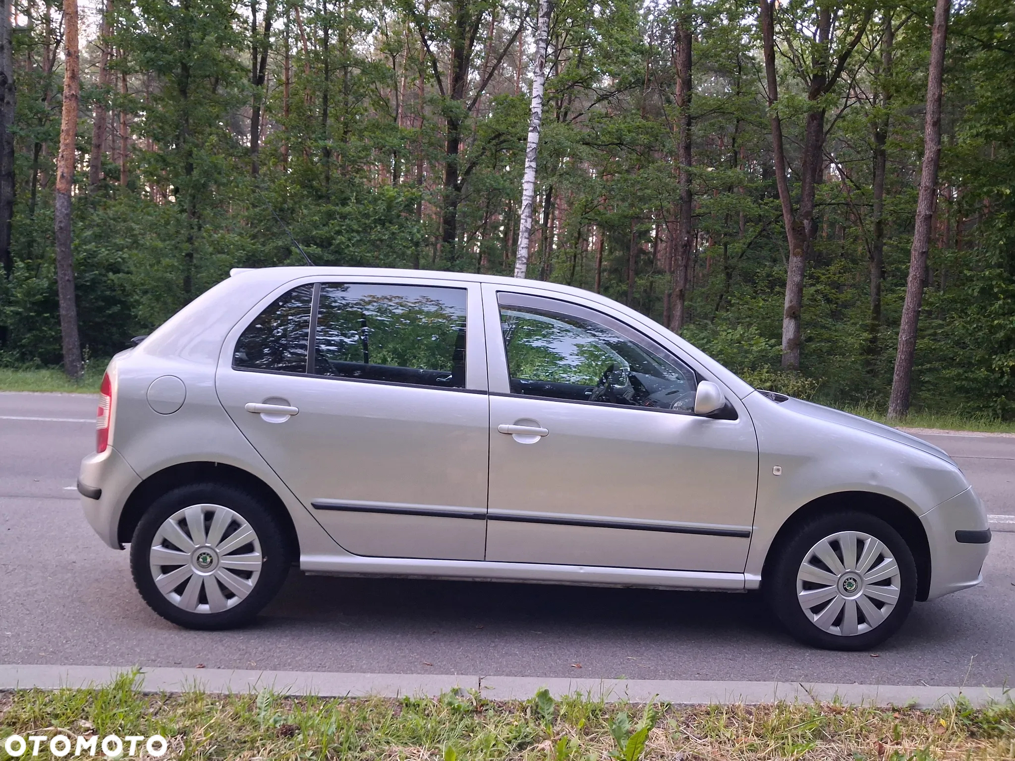 Skoda Fabia - 5