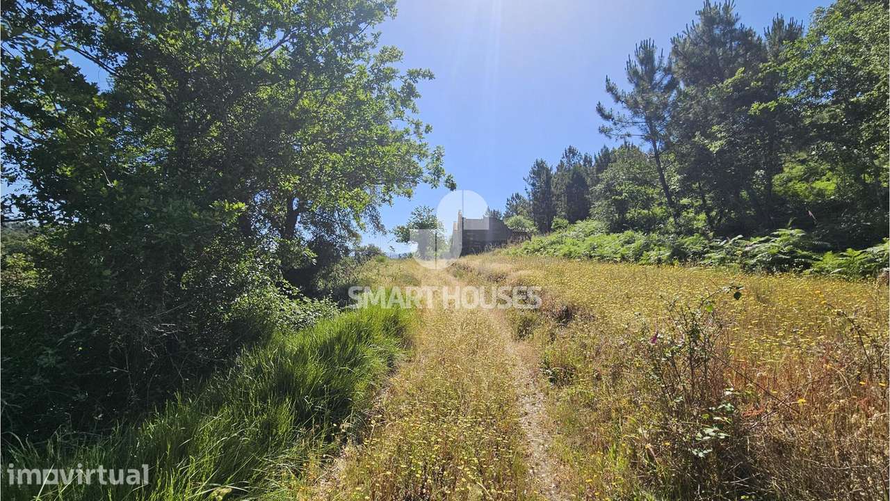Quinta junto a Rio Alva c/ moradia T3 - Grande imagem: 5/6