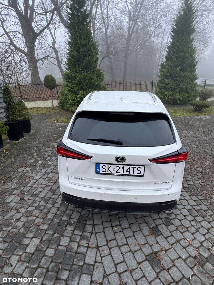 Lexus NX 300 GPF F Sport AWD - 13
