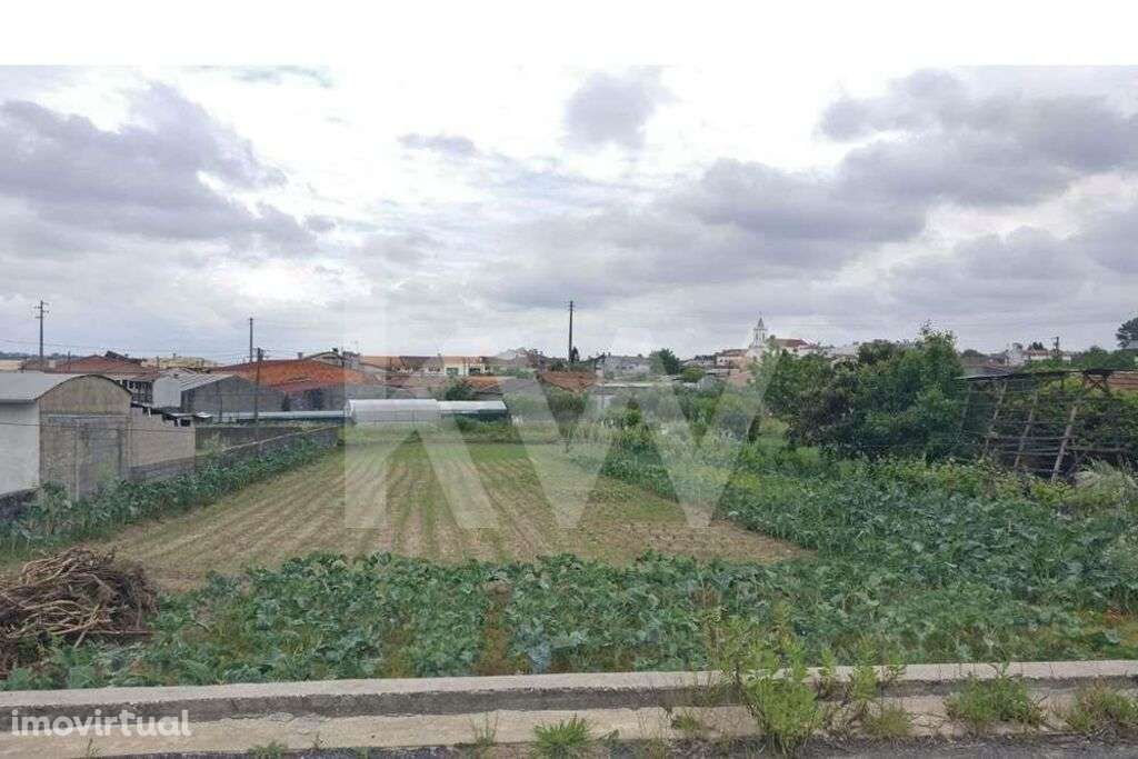 Terreno Urbano em Fermentelos a escassos metros da Pateira, com 717 m2 - Grande imagem: 3/11