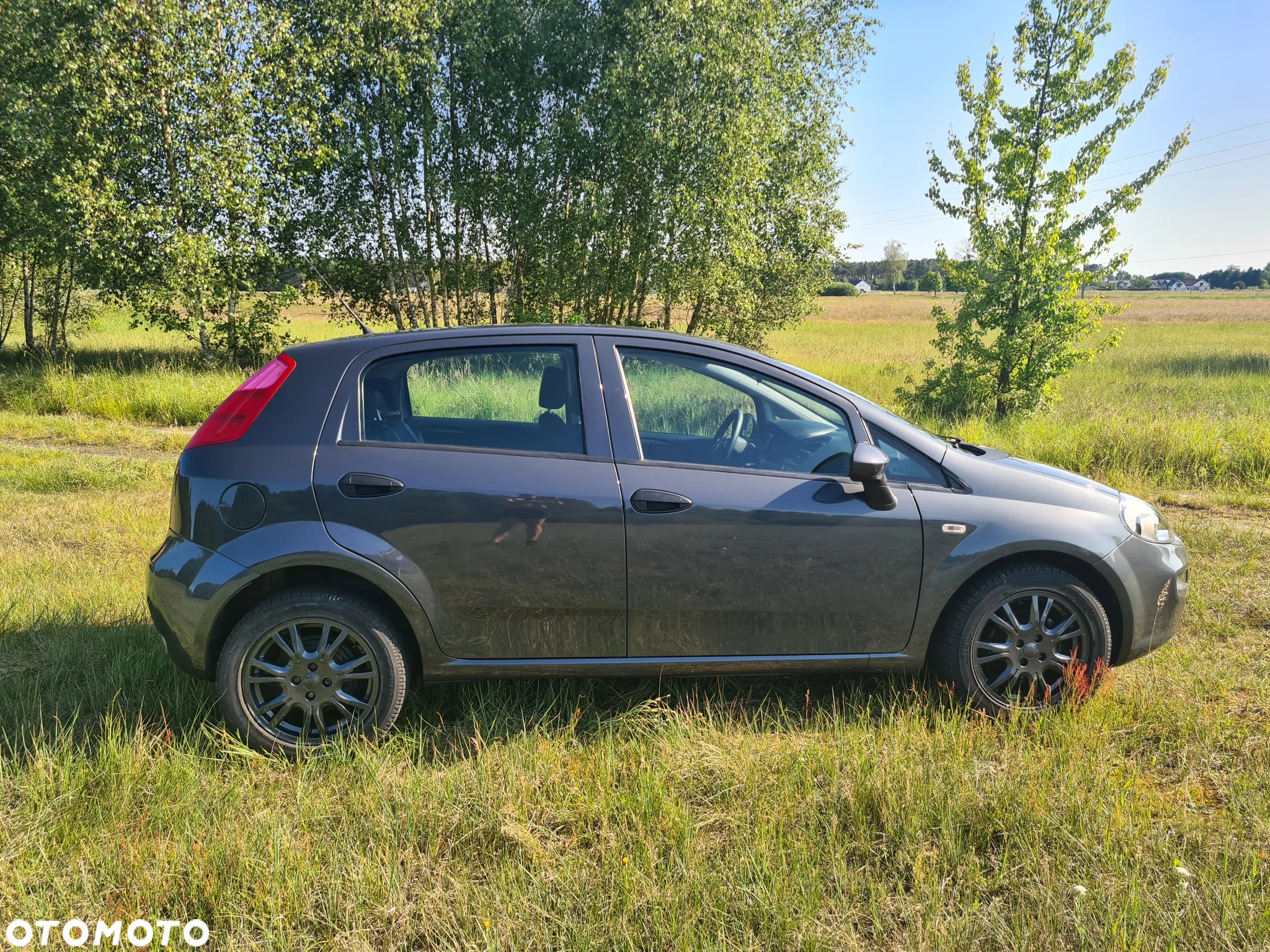 Fiat Punto - 15