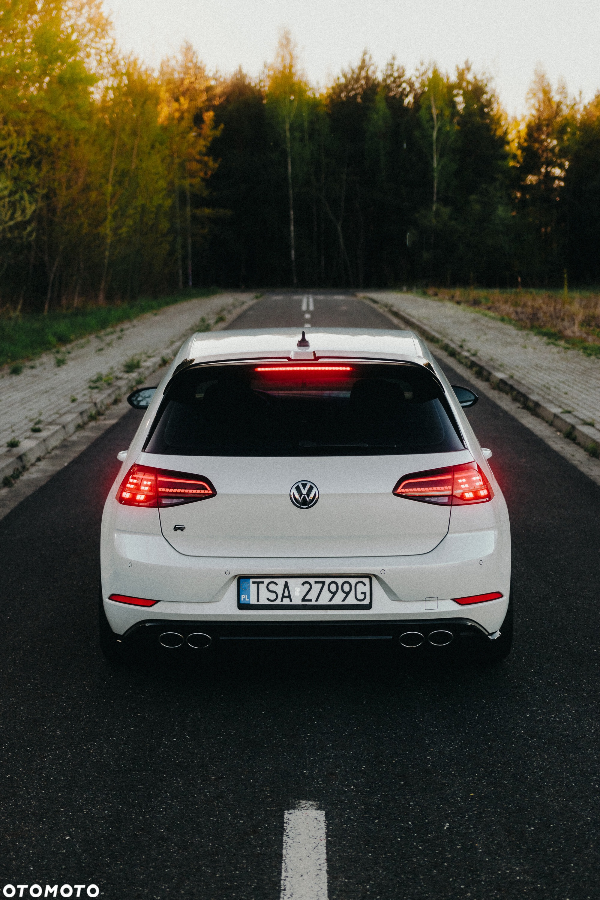 Volkswagen Golf R 4Motion (BlueMotion Technology) DSG - 23